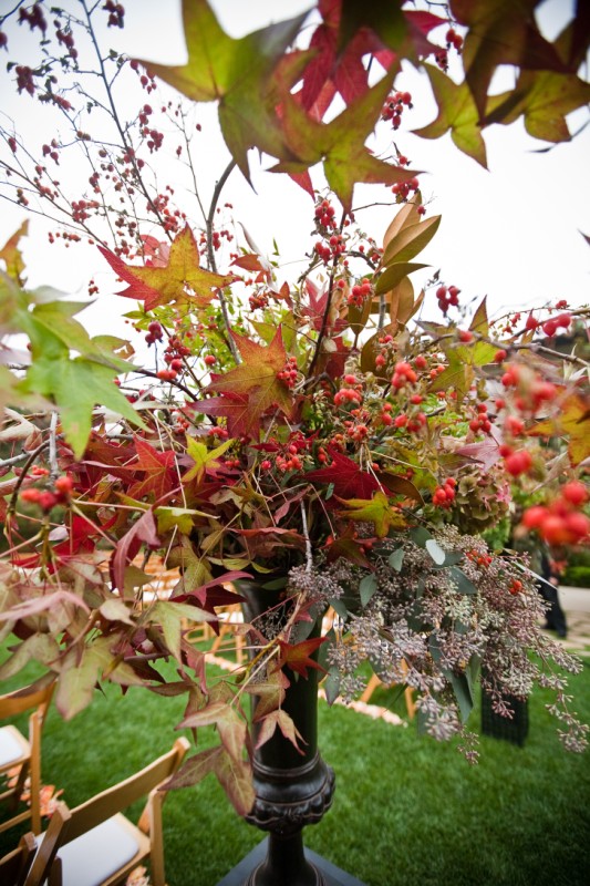 Fall flowers